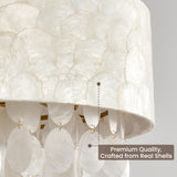 Real Capiz Shell Chandelier Detail